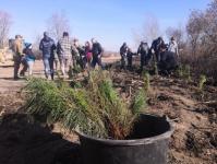 На озере Чемпионов под Тюменью разобьют аллею Памяти