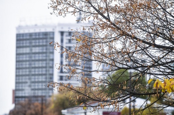 Число преступлений в первом полугодии в Тюменской области снизилось на 4%