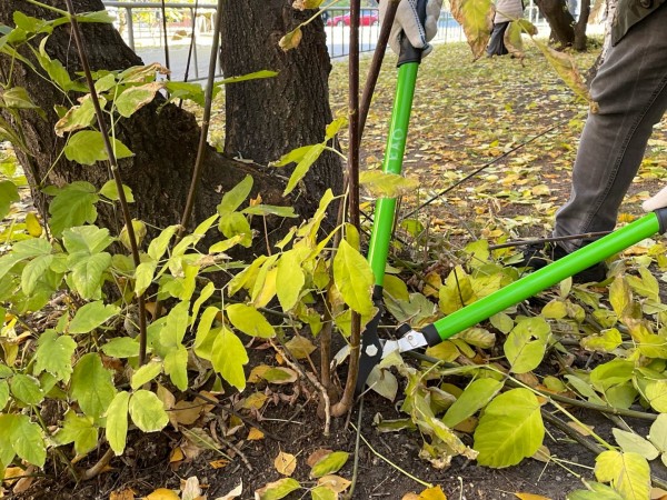 
Субботник в городе!
