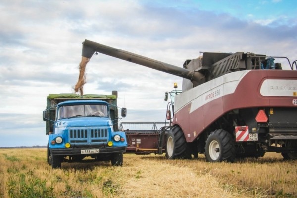 В Сладковском районе завершили уборку зерновых и картофеля 