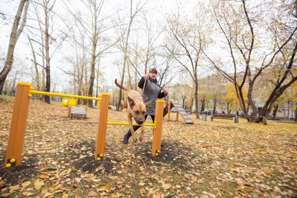 
Инициативное бюджетирование: в Телевизионный сквер – для дрессировки собак
