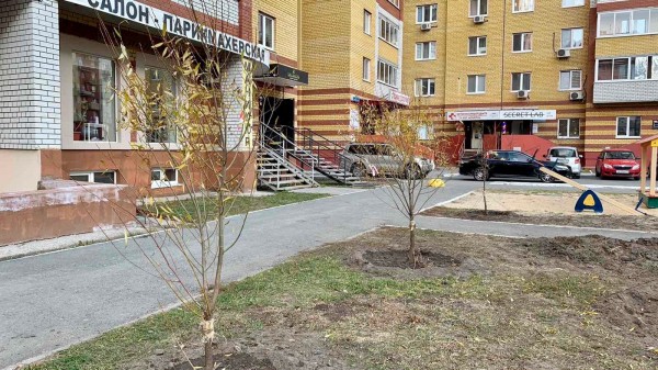 
#БылоСтало: Тюменцы &ndash; активные участники преображения своего двора
