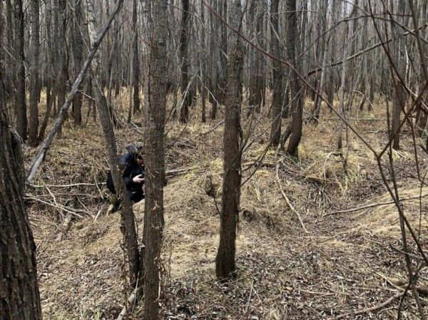 В Тюменской области медведь задрал одного рыбака, второго ранил 