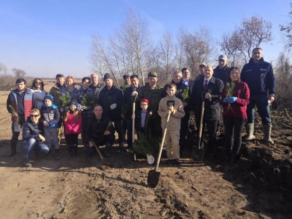 На озере Чемпионов под Тюменью разобьют аллею Памяти