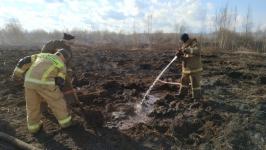 Площадь очагов тления торфа в Екатеринбурге снизили в два раза