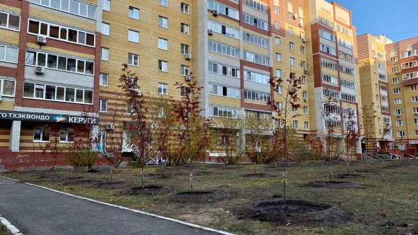 
#БылоСтало: Тюменцы &ndash; активные участники преображения своего двора
