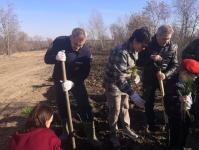 На озере Чемпионов под Тюменью разобьют аллею Памяти
