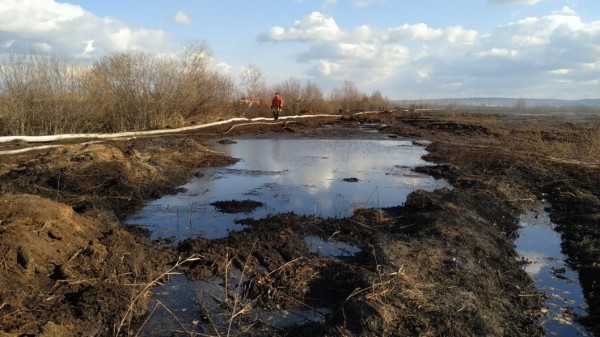 Площадь очагов тления торфа в Екатеринбурге снизили в два раза