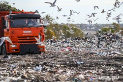 На ликвидацию огромной свалки под Тюменью потратят почти 2 млрд