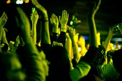 Популярному ресторану Тюмени грозит штраф или закрытие