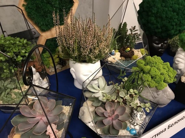 В Тюменской области открыли елку самозанятых 