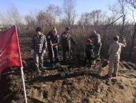 На озере Чемпионов под Тюменью разобьют аллею Памяти