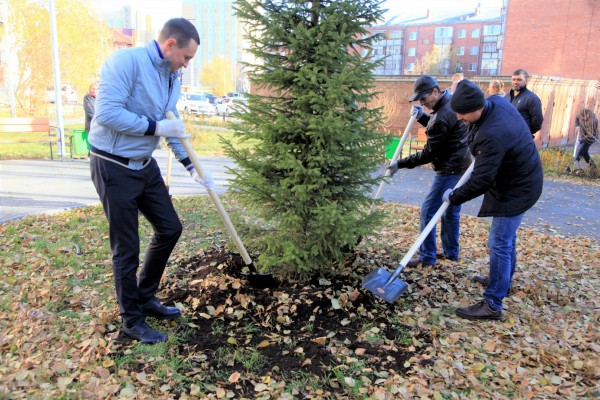 
Пришла пора новогодних подарков: у дома № 177 по Московскому тракту новый двор и зеленый уголок
