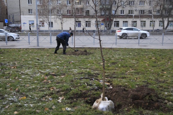 
Завершающие штрихи благоустройства
