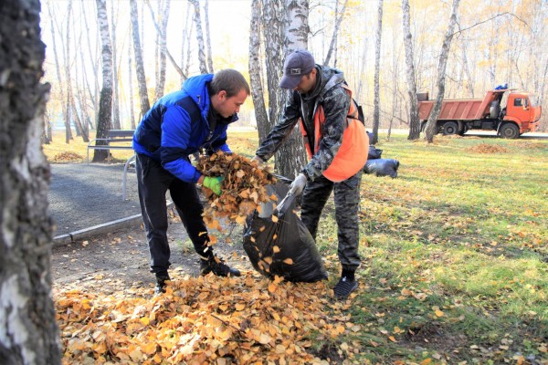 
Переполох из-за осеннего листопада
