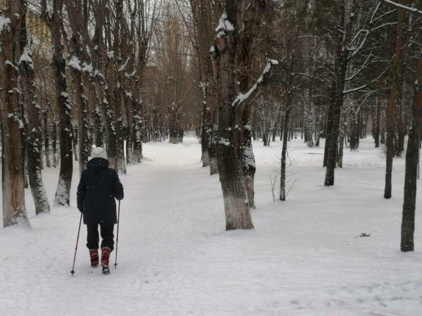 Тюменским депутатам рассказали о создании новых мест отдыха горожан