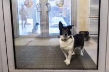 В Тюмени проверка магазина в ТЦ "Порт" не выявила нарушений требований Роспотребнадзора