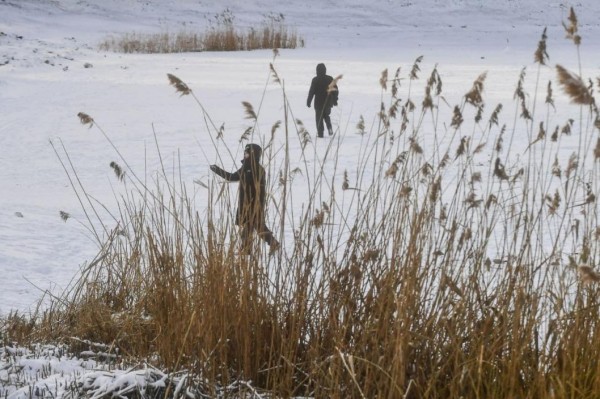 Трансляция пресс-конференции о правилах безопасности на льду