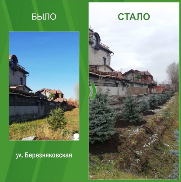 #БылоСтало: пора осенней высадки деревьев приближается к завершению
#БылоСтало: пора осенней высадки деревьев приближается к завершению