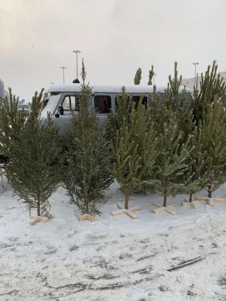 31 протокол напоминает: будьте осторожны!
31 протокол напоминает: будьте осторожны!