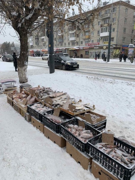 31 протокол напоминает: будьте осторожны!
31 протокол напоминает: будьте осторожны!