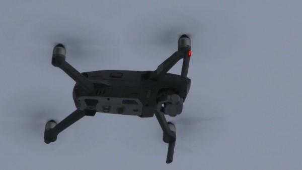 Рейды в тюменских лесах начнутся в середине декабря