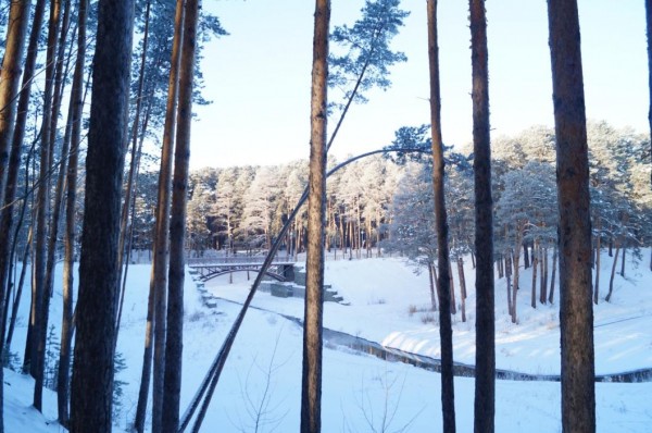 В Тюмени установили 3D-фигуры Деда Мороза и Снегурочки в Гилевской роще 