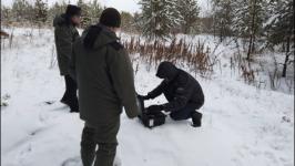 Рейды в тюменских лесах начнутся в середине декабря