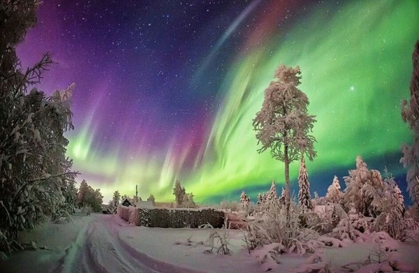 
Анонс культурных мероприятий на 5 января
