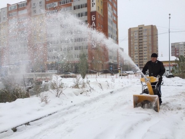 В Тюменской области утверждены основные направления общественных работ на 2022 год