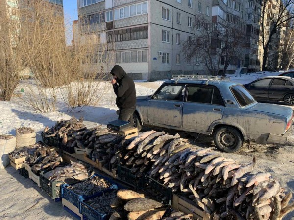 
Торговля без правил
