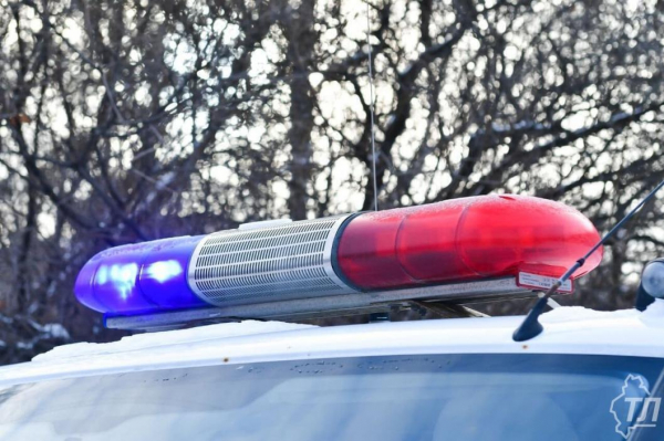 Тоболяк сознался в краже денег с карты приятеля