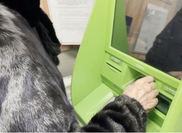 Полицейские помешали пожилой тюменке перевести мошенникам 200 тысяч рублей
