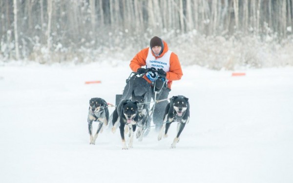 Тюменские погонщики ездовых собак заняли призы чемпионата и этапа Кубка Урала и Сибири 