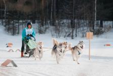 Тюменские погонщики ездовых собак заняли призы чемпионата и этапа Кубка Урала и Сибири 