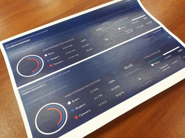 Тюменские общественники поддержали внедрение дистанционного голосования