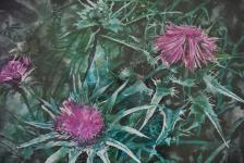 Фотогалерея: выставку работ трех молодых художниц открыли в Тюмени 