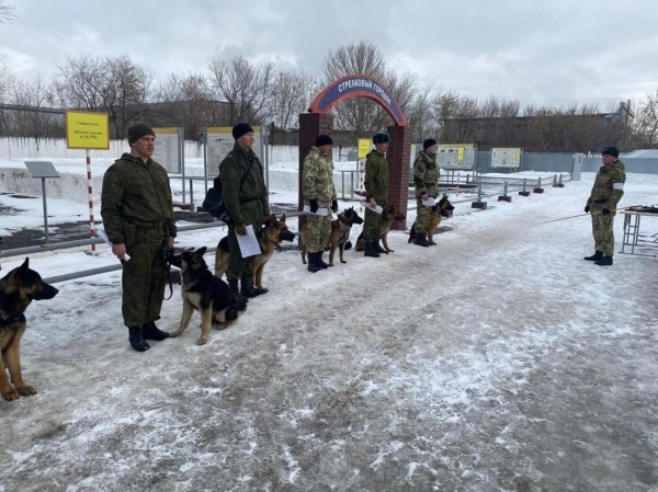 Немецкие и бельгийские овчарки, лабрадоры, спаниели со всей России будут совершенствовать свои розыскные навыки в Тюмени Немецкие и бельгийские овчарки, лабрадоры, спаниели со всей России будут совершенствовать свои розыскные навыки в Тюмени