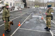 Немецкие и бельгийские овчарки, лабрадоры, спаниели со всей России будут совершенствовать свои розыскные навыки в Тюмени Немецкие и бельгийские овчарки, лабрадоры, спаниели со всей России будут совершенствовать свои розыскные навыки в Тюмени