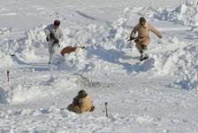 Военно-историческая реконструкция прошла на набережной в Тюмени