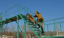 Немецкие и бельгийские овчарки, лабрадоры, спаниели со всей России будут совершенствовать свои розыскные навыки в Тюмени Немецкие и бельгийские овчарки, лабрадоры, спаниели со всей России будут совершенствовать свои розыскные навыки в Тюмени