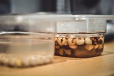 Тюменские бариста начали производить собственное растительное молоко