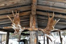 Предпринимателям Тюменской области показали, как эффективно развивать туризм Предпринимателям Тюменской области показали, как эффективно развивать туризм