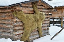 Предпринимателям Тюменской области показали, как эффективно развивать туризм Предпринимателям Тюменской области показали, как эффективно развивать туризм