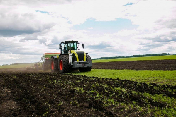 Хлеборобы Сладковского района ведут боронование выборочно