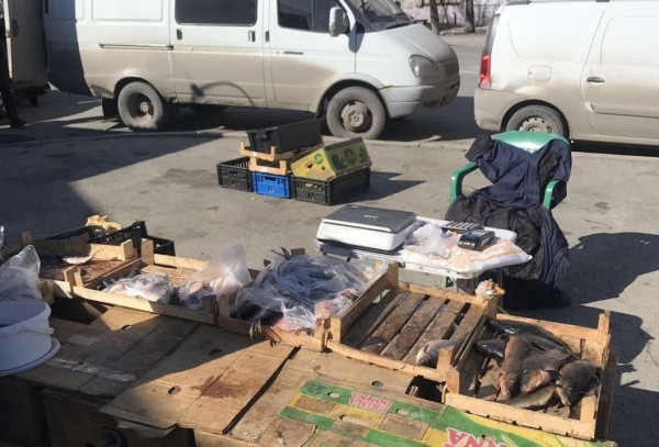 200 килограммов рыбы изъяли в точках стихийной торговли в Тюмени