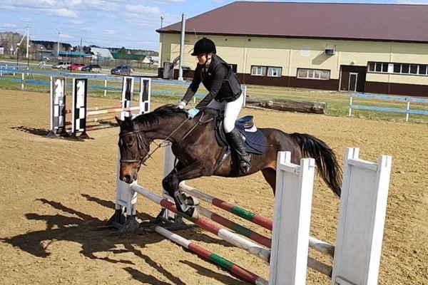 Любители конного спорта продемонстрируют мастерство конкура в Нижней Тавде