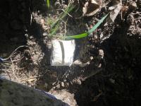 Тюменца задержали с 65 свертками мефедрона 