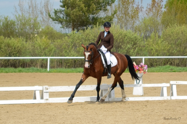 Тюменские наездники поспорят за медали областного чемпионата по конному спорту