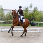 Тюменские наездники поспорят за медали областного чемпионата по конному спорту